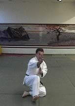 Insurances in Aikido